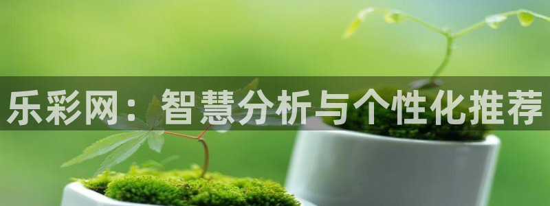 2元彩票平台官网：乐彩网：智慧分析与个性化推荐